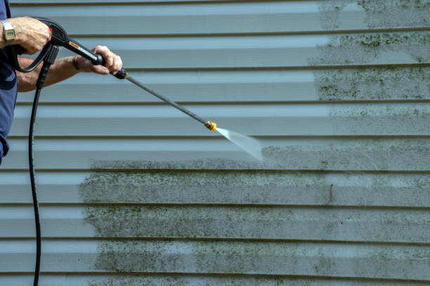 Best Patio and Deck Pressure Washing  in Olivet, MI